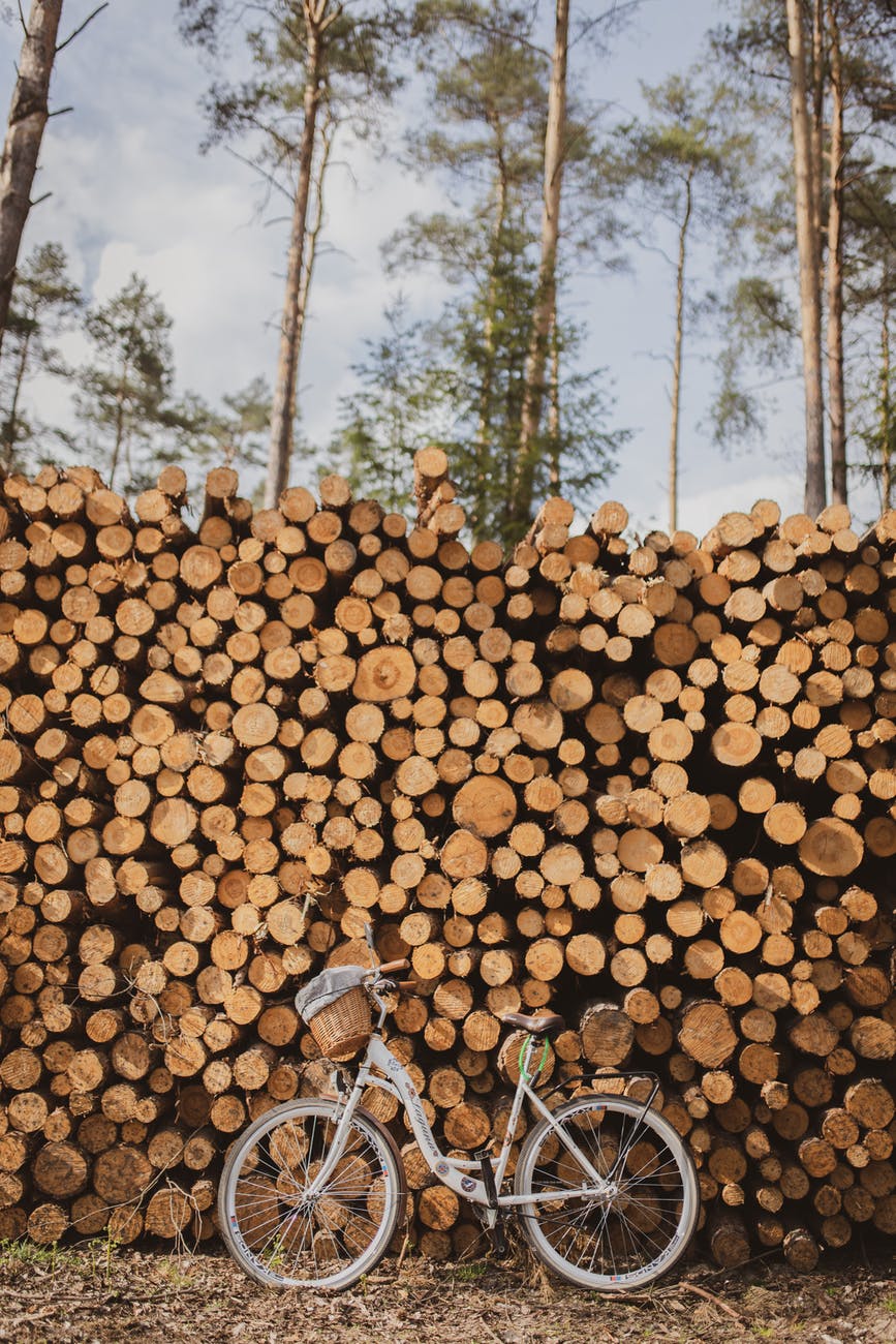stack of firewood near bicycle and trees