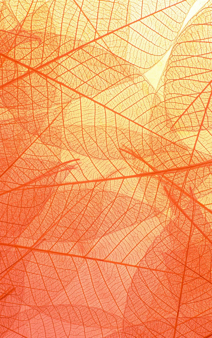 colorful transparent texture of natural background