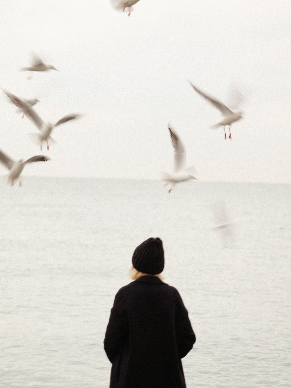 blond woman in black standing at seashore and seagulls flying around