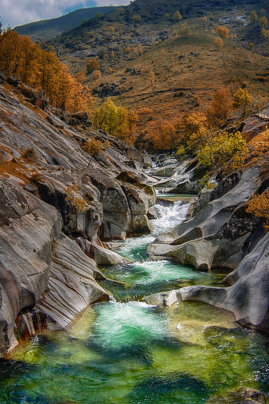 river flowing in between trees and rocks