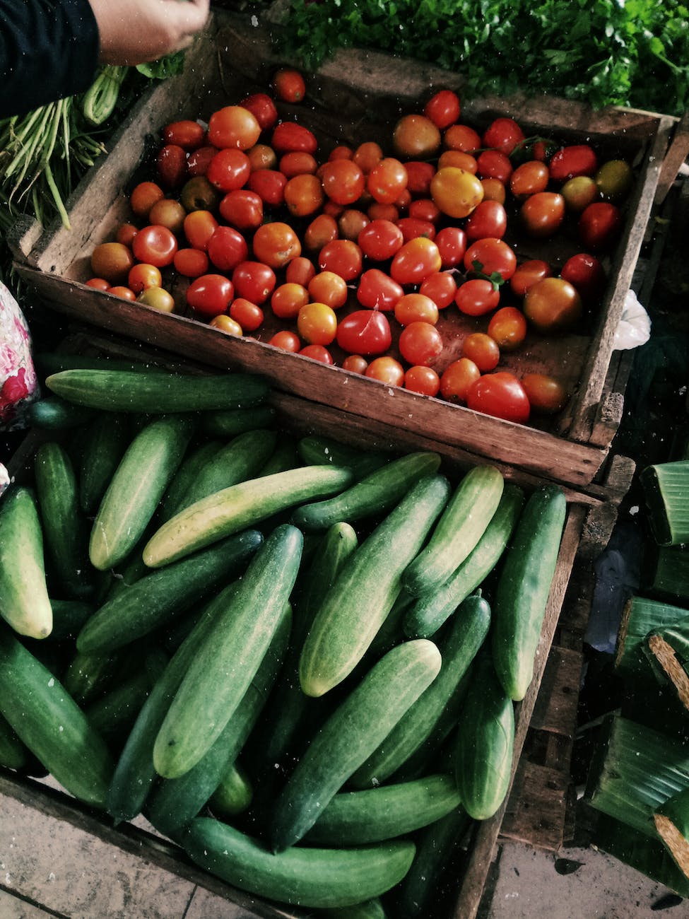 photo of cucumbers and tomatoes in wooden crates