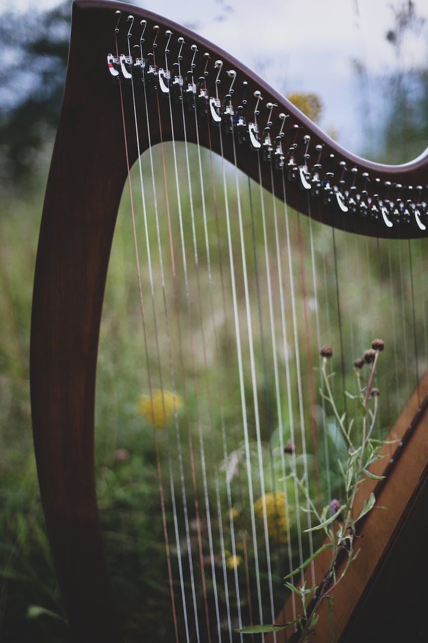 brown wooden harp on garden